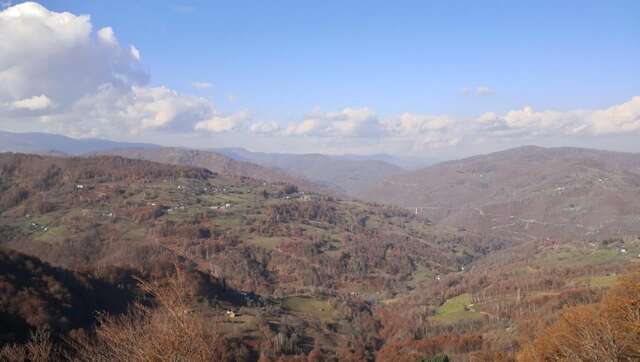 Шале Koliba Pčelica 2 Биело-Поле-28