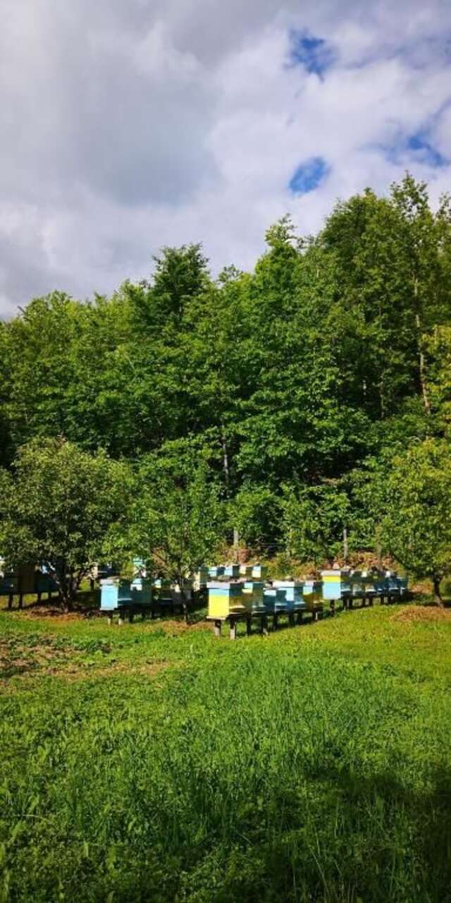 Шале Koliba Pčelica 2 Биело-Поле-36